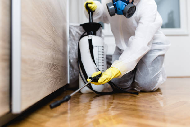 Best Exterminator Services  in Iron Mountain, MI