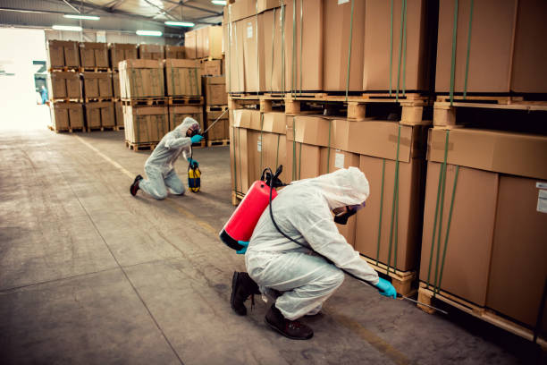 Pest Prevention Services in Iron Mountain, MI