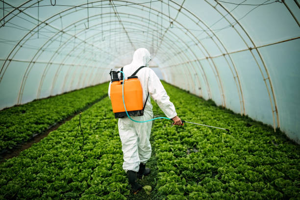 Best Emergency Pest Control  in Iron Mountain, MI