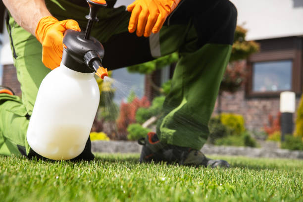 Best Mosquito Control Services  in Iron Mountain, MI