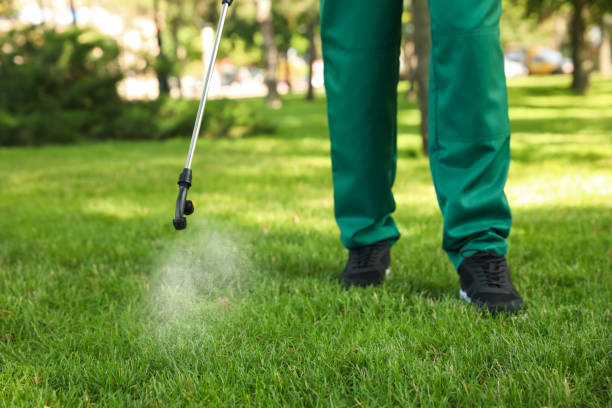 Best Affordable Pest Control Services  in Iron Mountain, MI