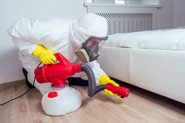 Best Flea Control Services  in Iron Mountain, MI