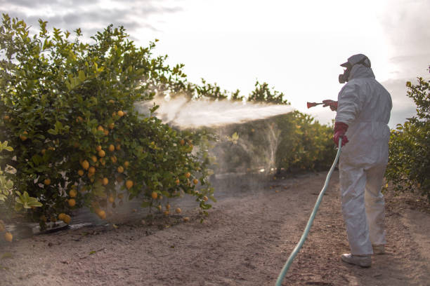 Best Ant Control Services  in Iron Mountain, MI
