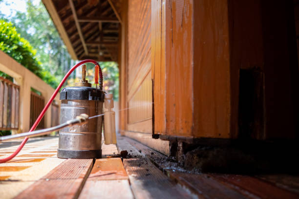 Best Wasp Removal Services  in Iron Mountain, MI