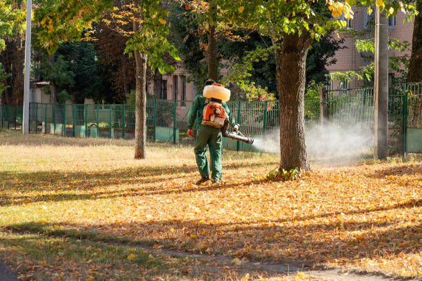 Best Ant Control Services  in Iron Mountain, MI