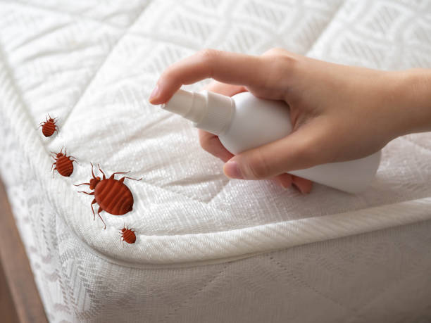 Trusted Iron Mountain, MI Pest Control Experts