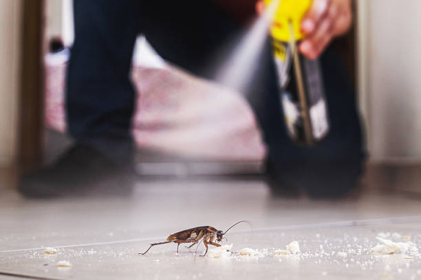 Best Affordable Pest Control Services  in Iron Mountain, MI