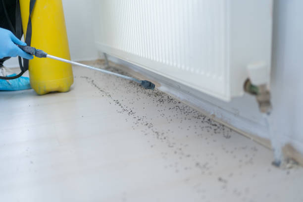 Best Bed Bug Extermination  in Iron Mountain, MI