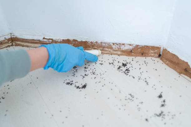 Best Pest Prevention Services  in Iron Mountain, MI