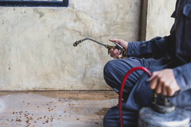 Best Pest Inspection Near Me  in Iron Mountain, MI