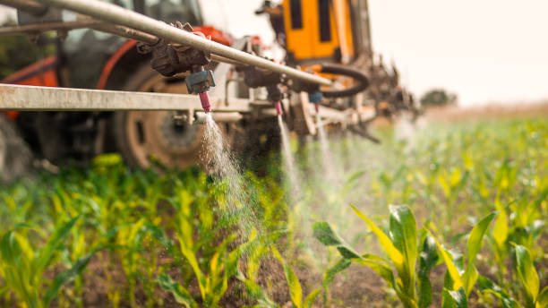 Best Commercial Pest Control Services  in Iron Mountain, MI