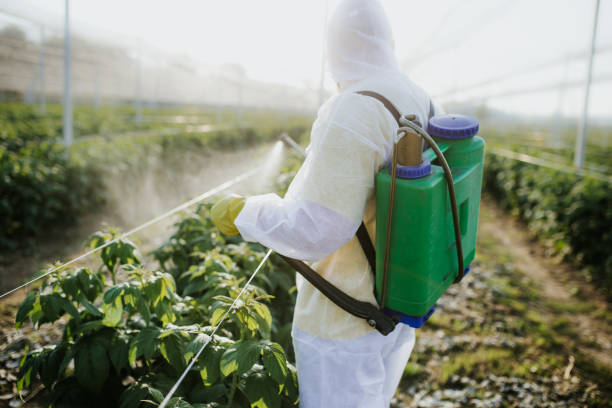 Best Termite Control Services  in Iron Mountain, MI